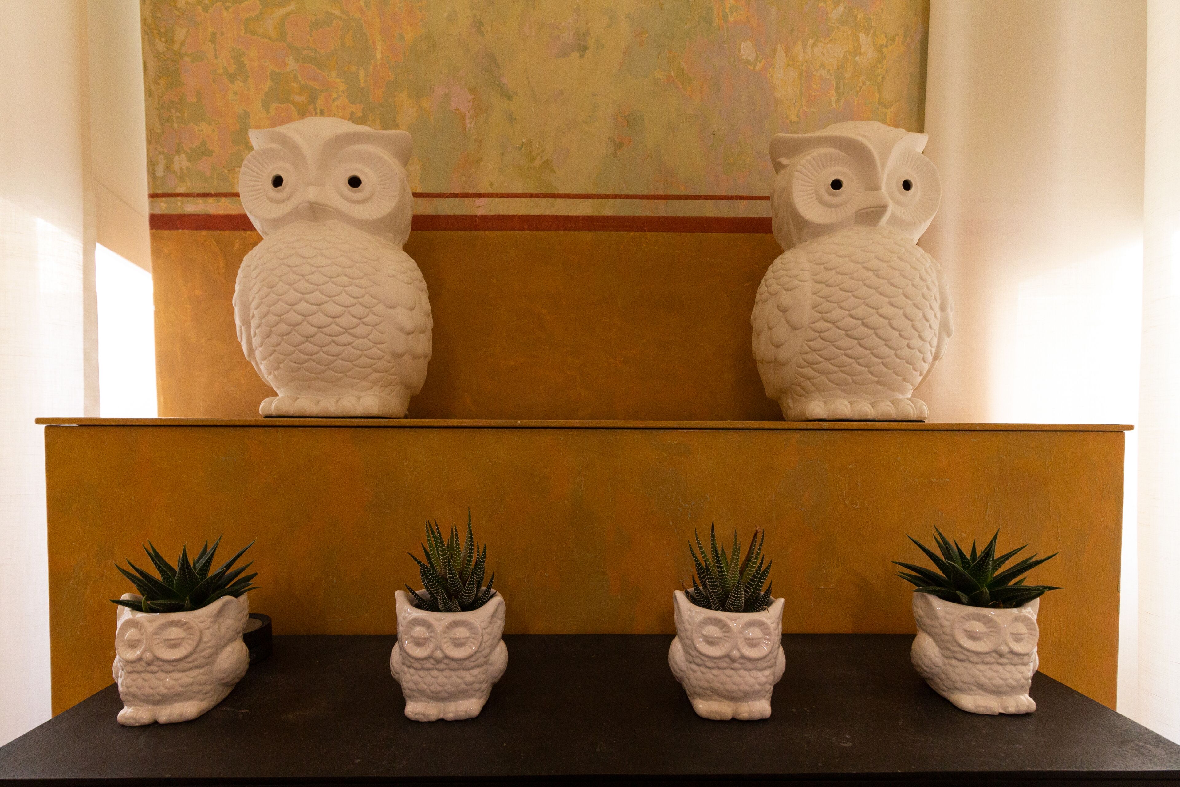Two white owl-shaped planters on a dark surface, with a textured wall and a painting in the background.