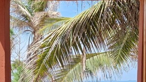 A window with a view of palm trees and the ocean. - New Robinson Plage (Lomé)