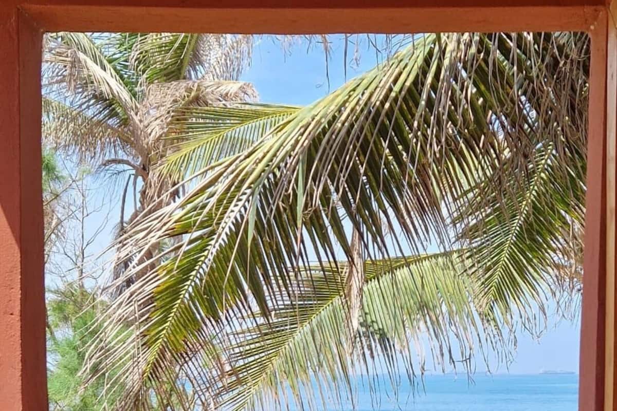 Janela com vista para palmeiras e o oceano.