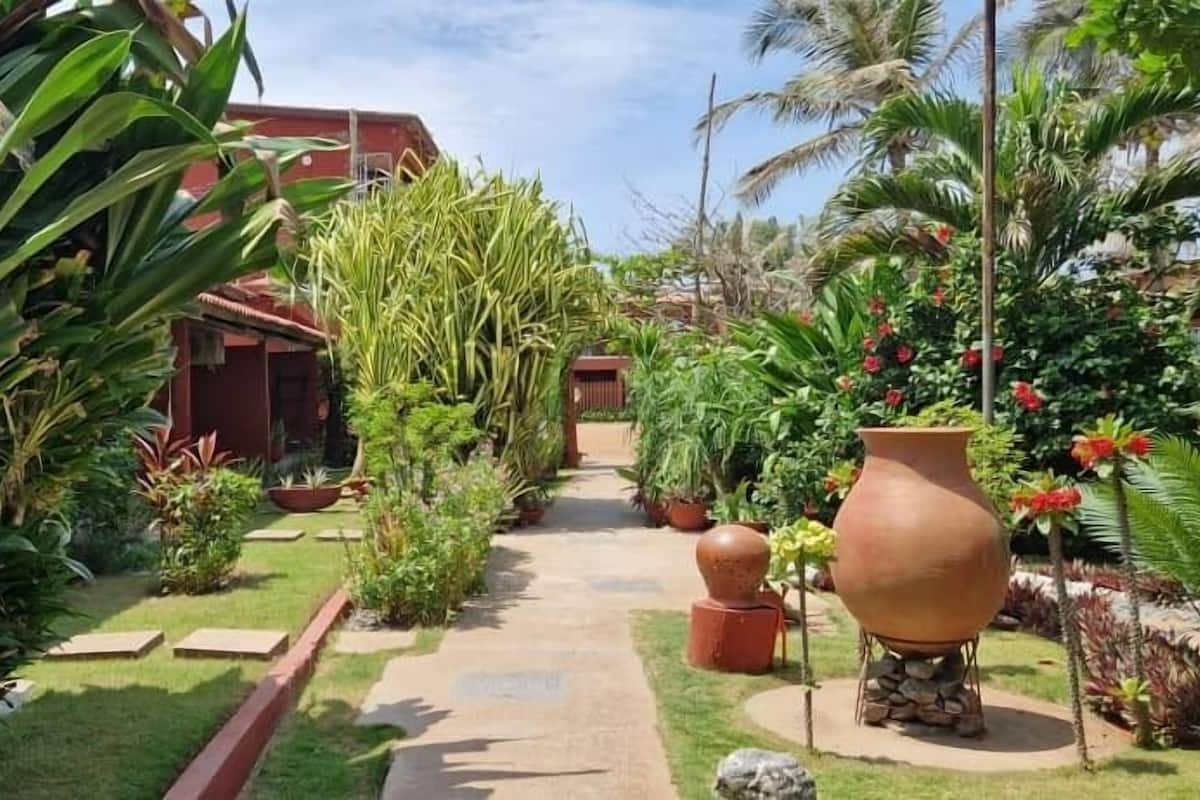Um caminho bordado por plantas em vasos e um grande vaso de terracota.
