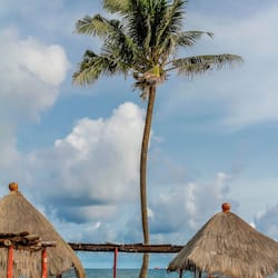 私人海灘、躺椅、海灘按摩、海灘酒吧