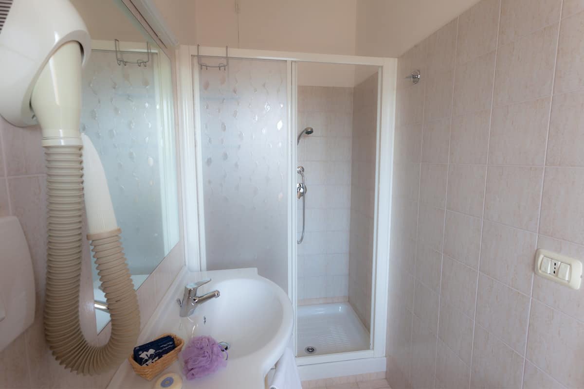 shower, free toiletries, hair dryer, towels