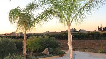 Vista dalla struttura