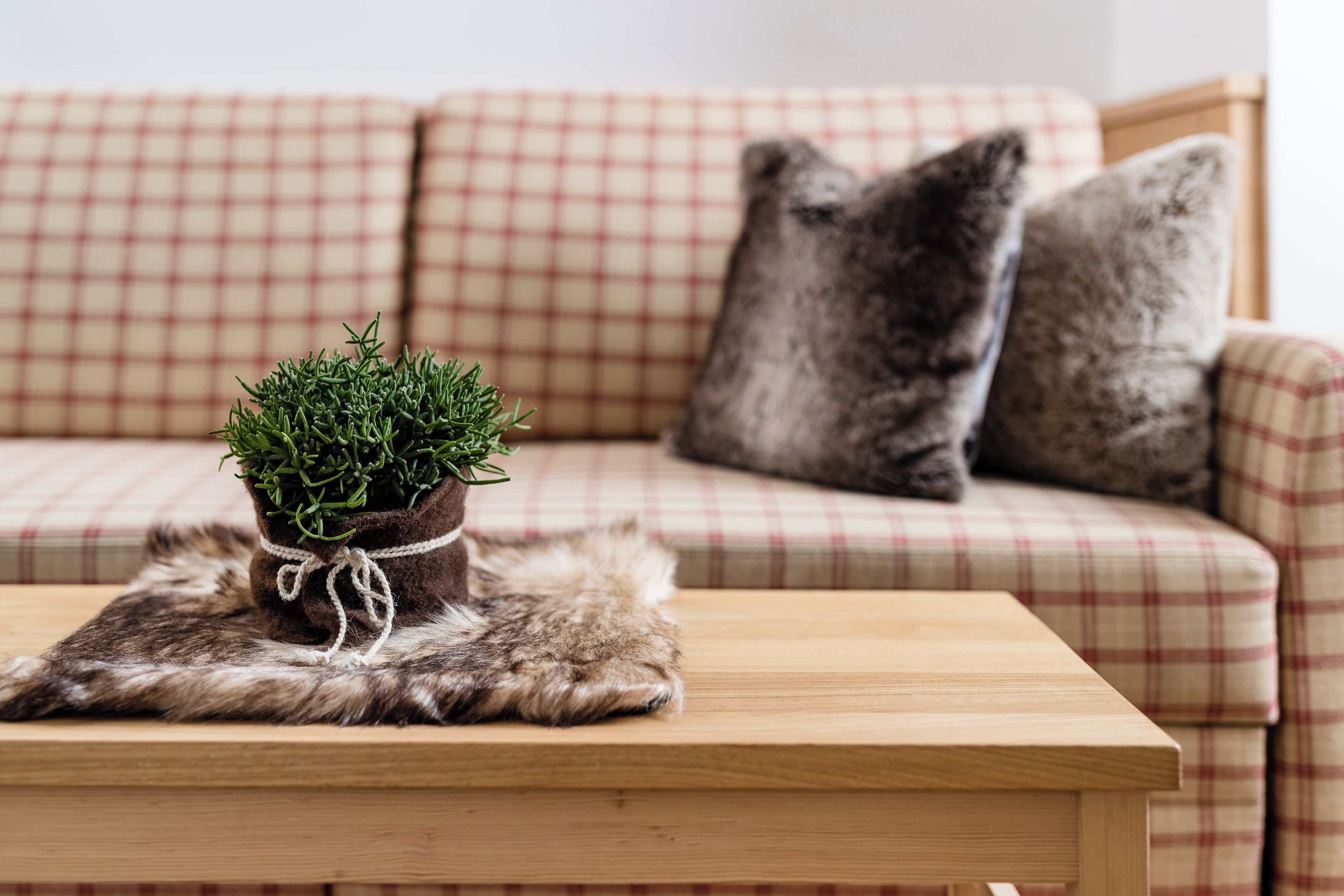 Un divano a quadri con una piccola pianta in vaso e una coperta di pelliccia su un tavolino di legno.