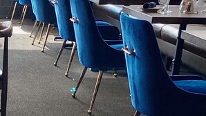 L’intérieur d’un restaurant avec des chaises en velours bleu, une tête de lit capitonnée et une plante suspendue.