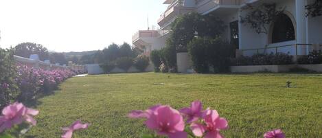 A grassy courtyard with pink flowers in the foreground, surrounded by buildings with balconies and windows.