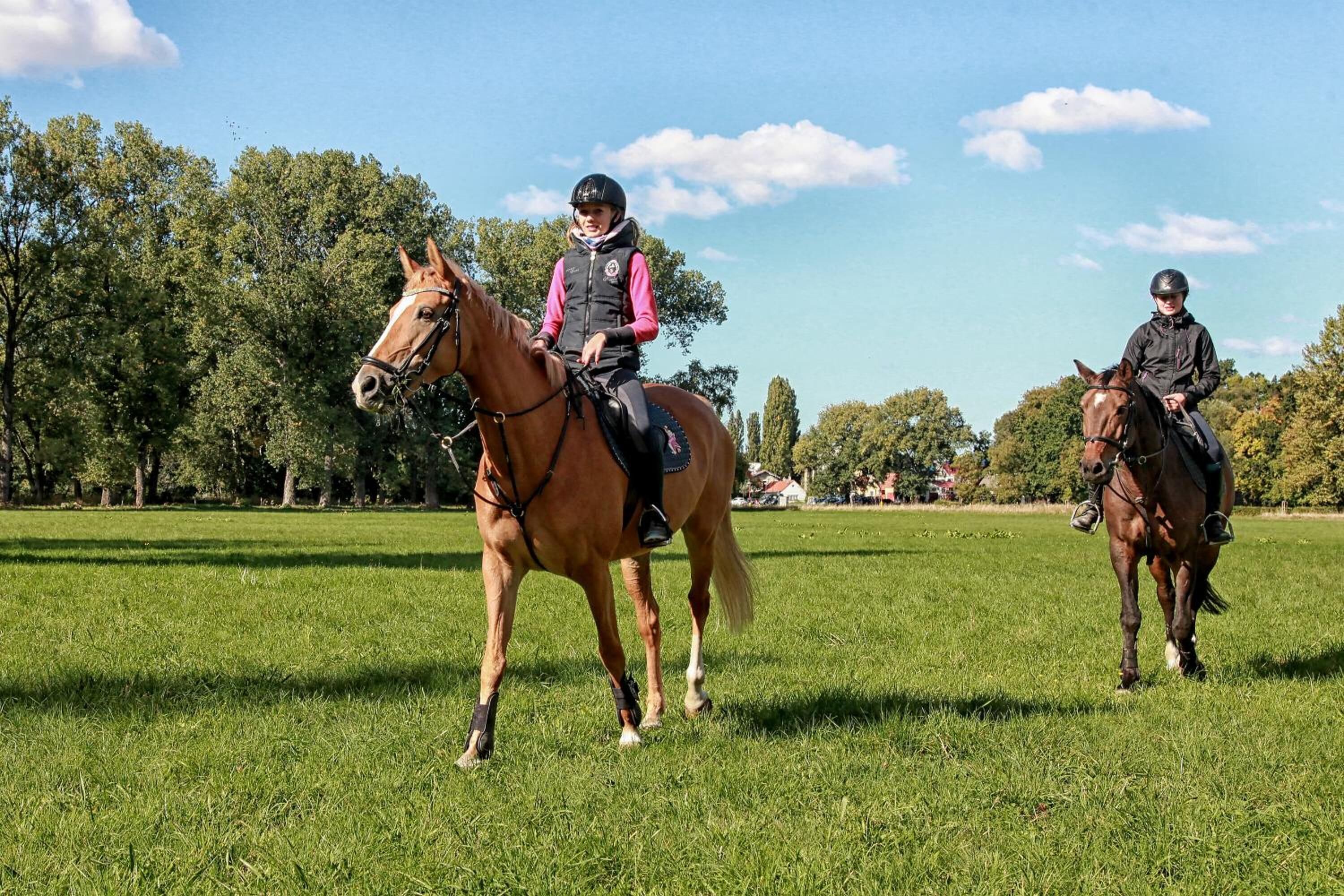 Two people riding horses in a grassy field with trees in the background.