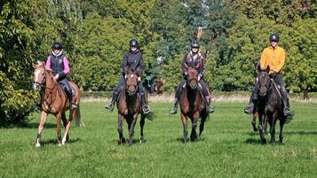 Quatre personnes à cheval dans un champ herbeux, avec des arbres en arrière-plan.