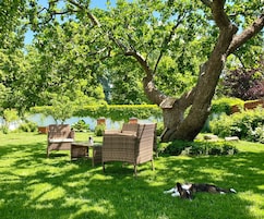 Um jardim com uma árvore, uma mesa de vime e um cão.