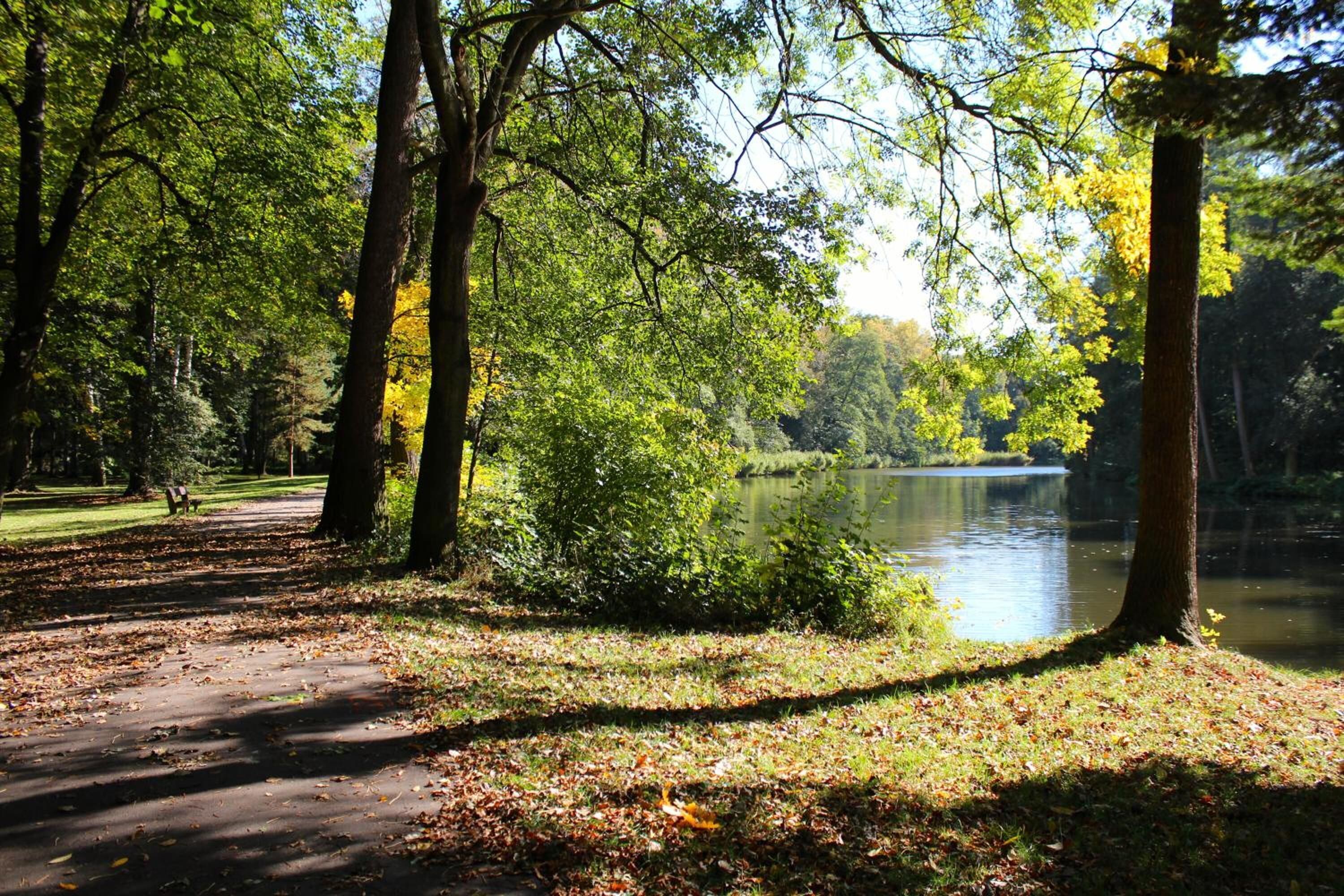 A park with a walking path, trees, and a lake.