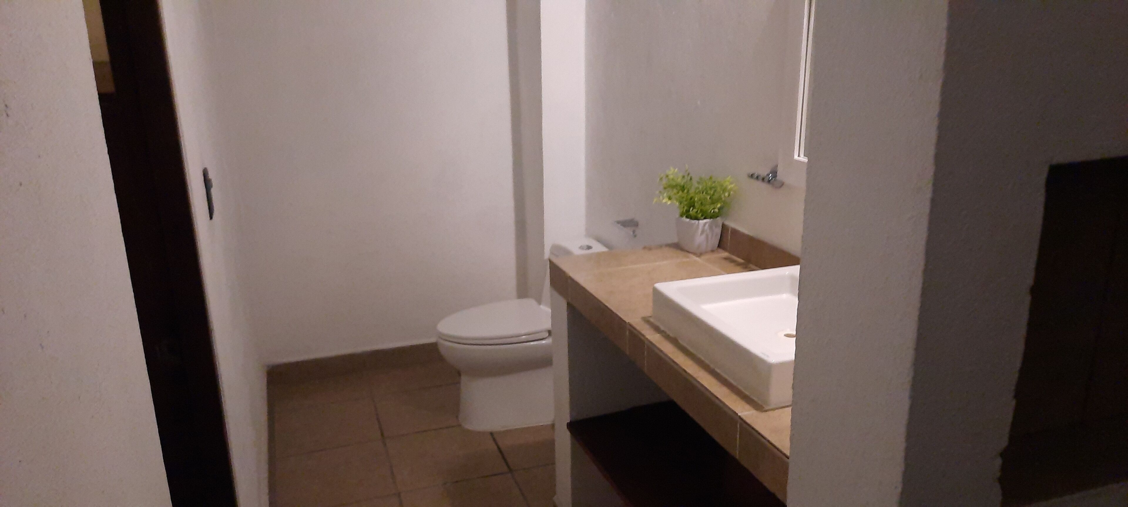 standard quadruple room, 2 double beds | bathroom | shower, free toiletries, towels