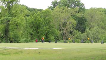 Golfe