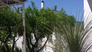 A courtyard with potted plants, a pergola, and a building with a chimney. - Arcona (Carpignano Salentino)