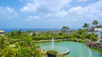 Vista desde la propiedad