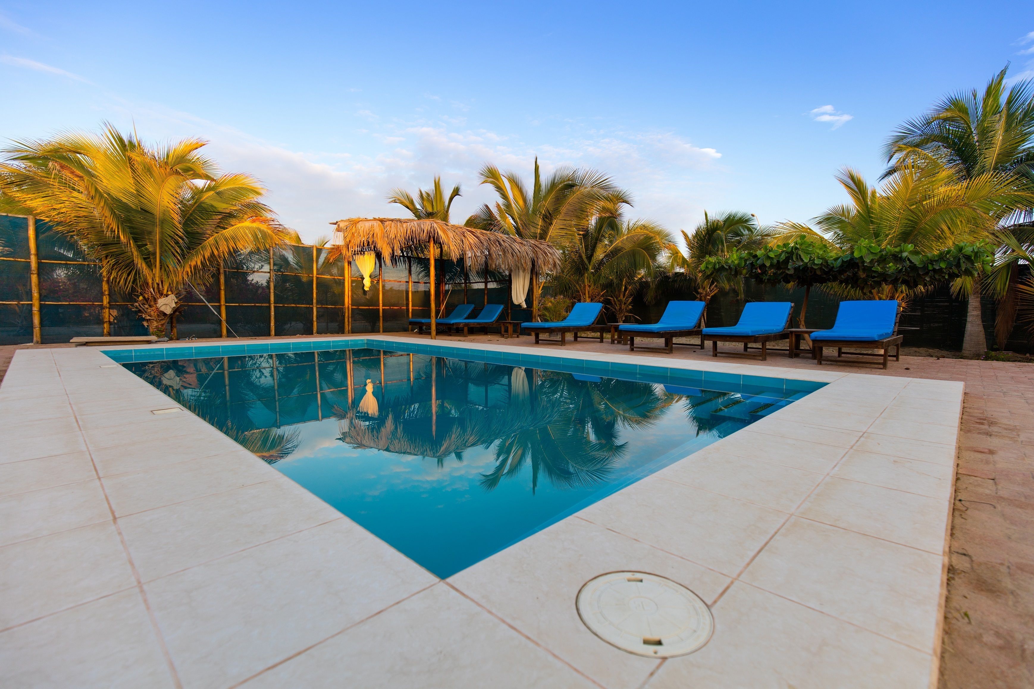 A swimming pool with blue lounge chairs and palm trees.