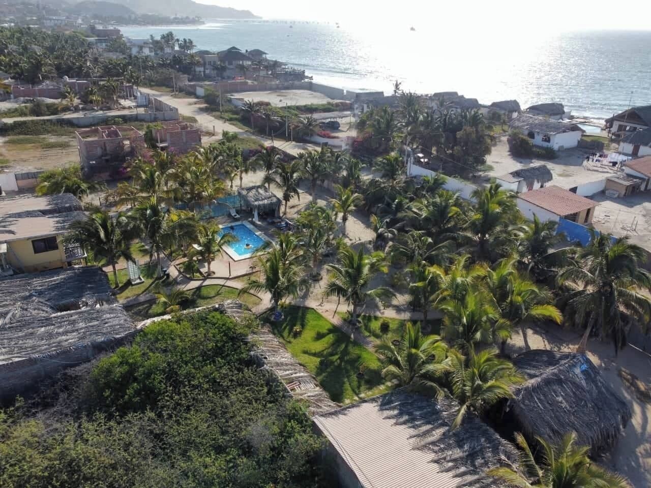 Un complejo turístico frente al mar con piscina rodeada de palmeras, acceso a la playa y vistas al océano.