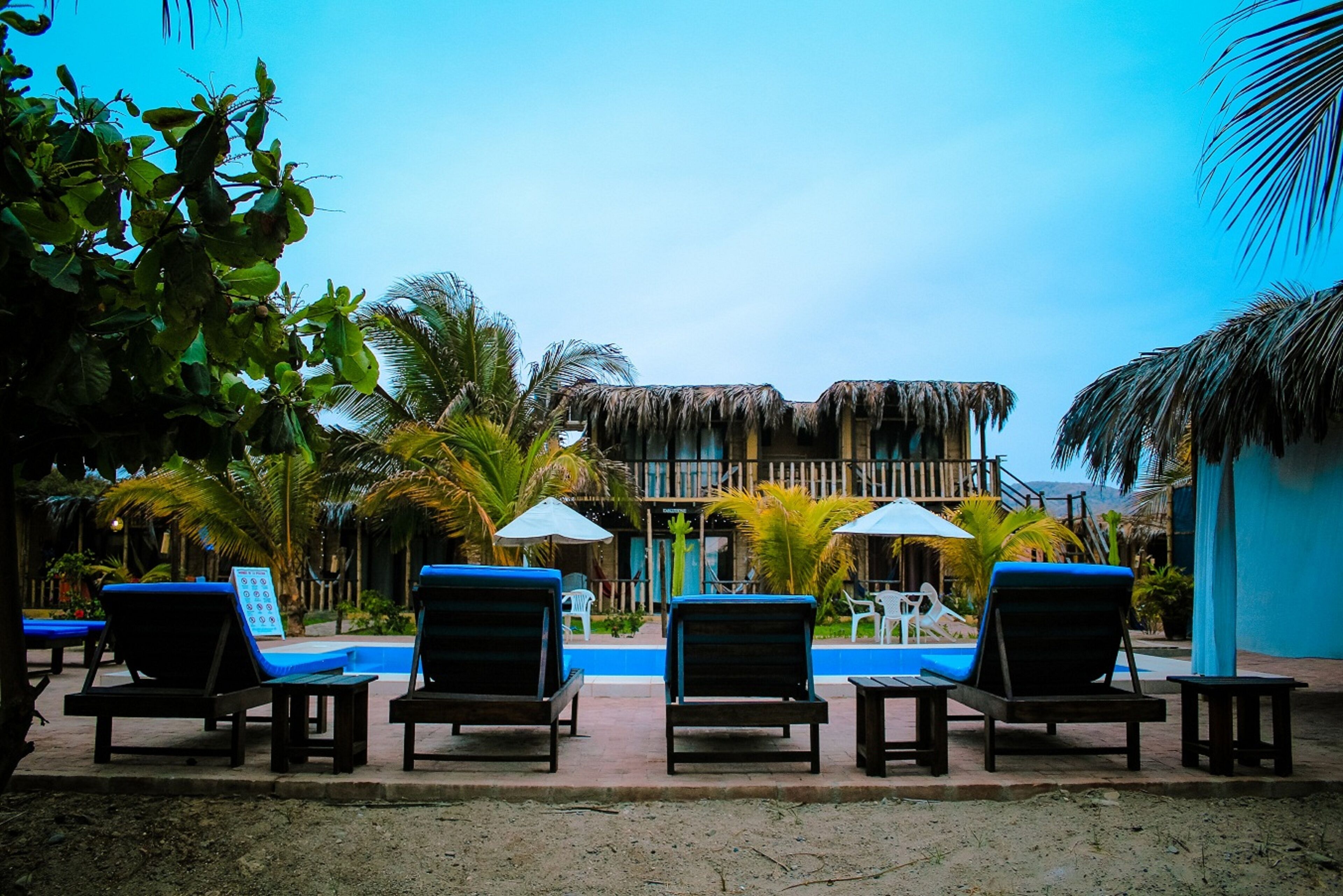 Un espace aménagé au bord de la piscine, avec des chaises longues et des parasols, un bâtiment à toit de chaume et des palmiers.