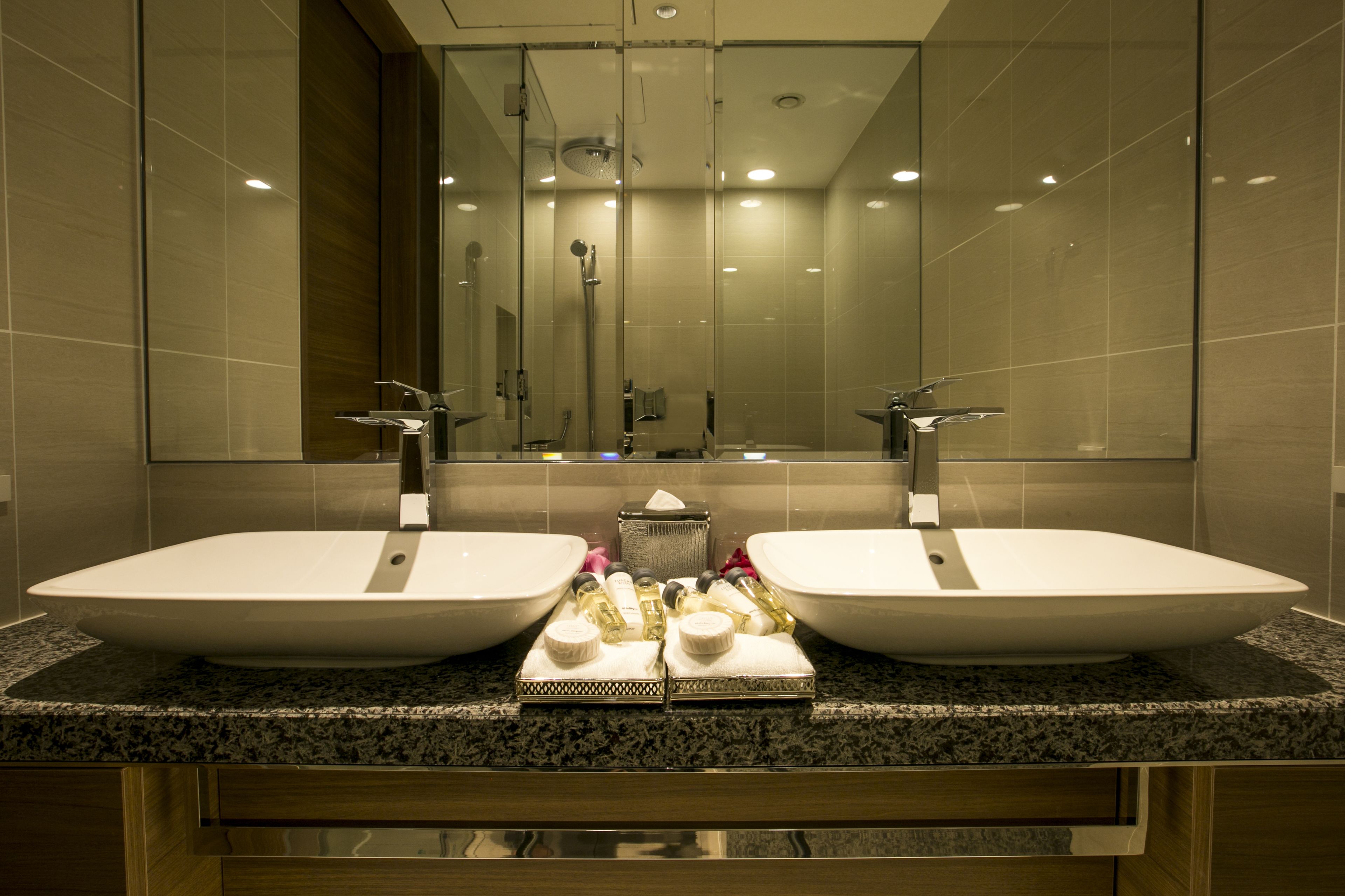 suite | bathroom sink