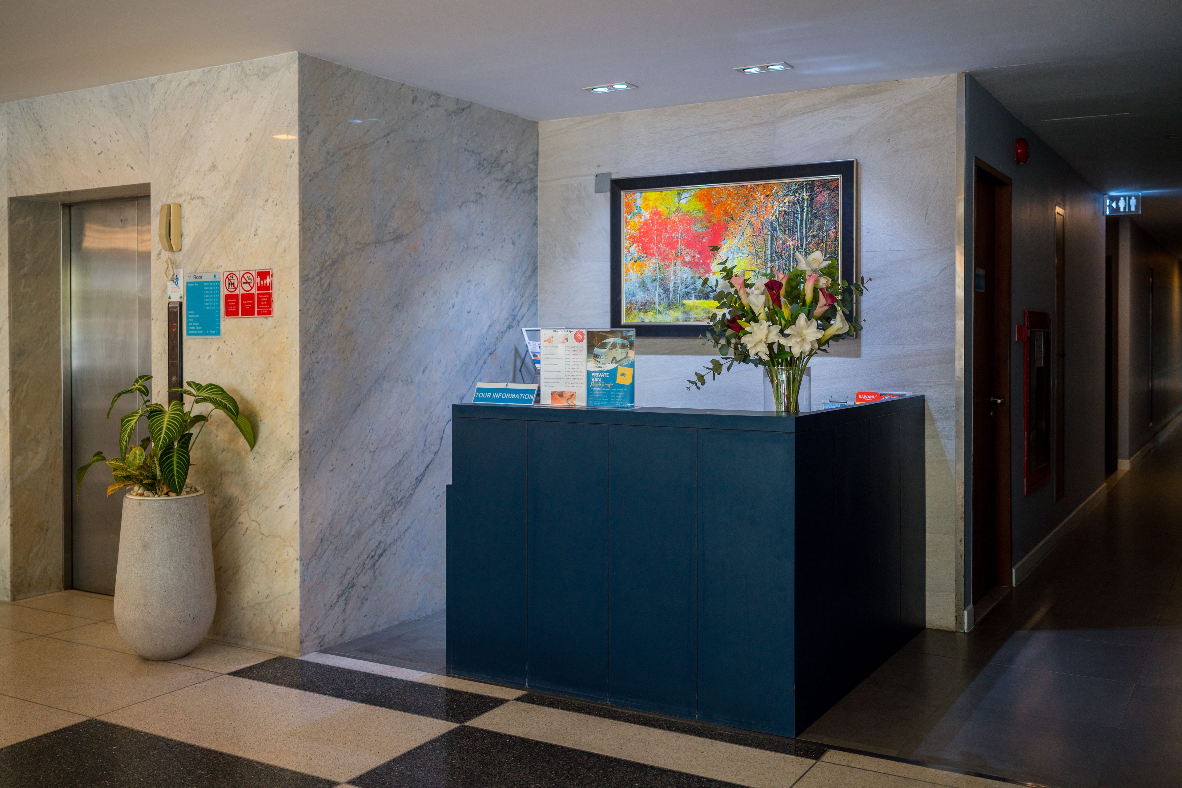 A reception desk with informational brochures, a potted plant, and a framed artwork on the wall.