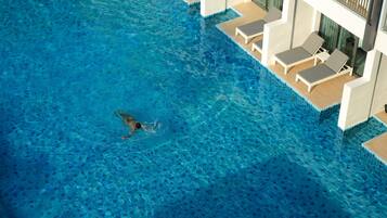 Alberca al aire libre, sombrillas en la alberca y camastros