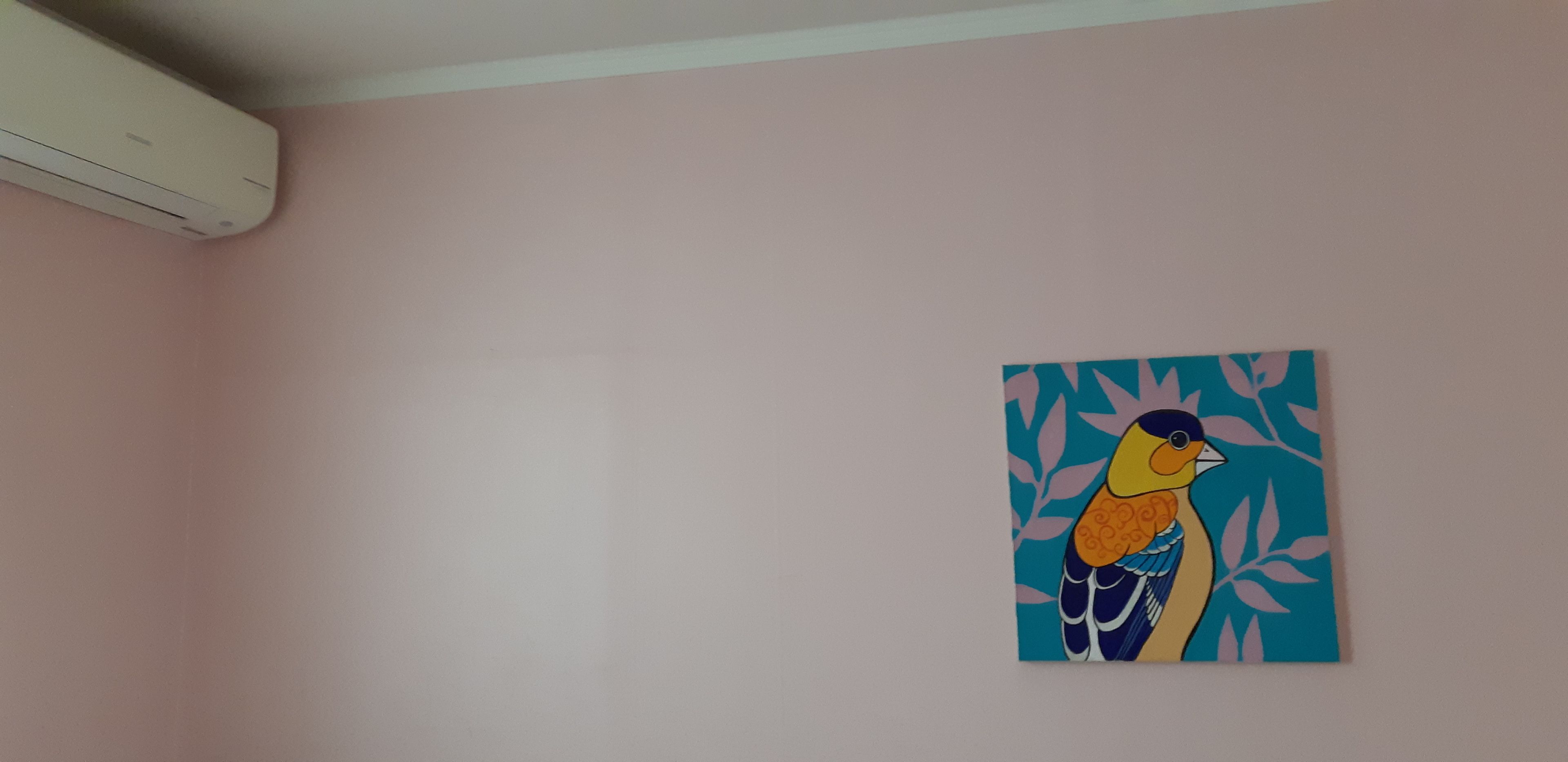 Foto - Birdsnest Hostel Hongdae Foreigner only