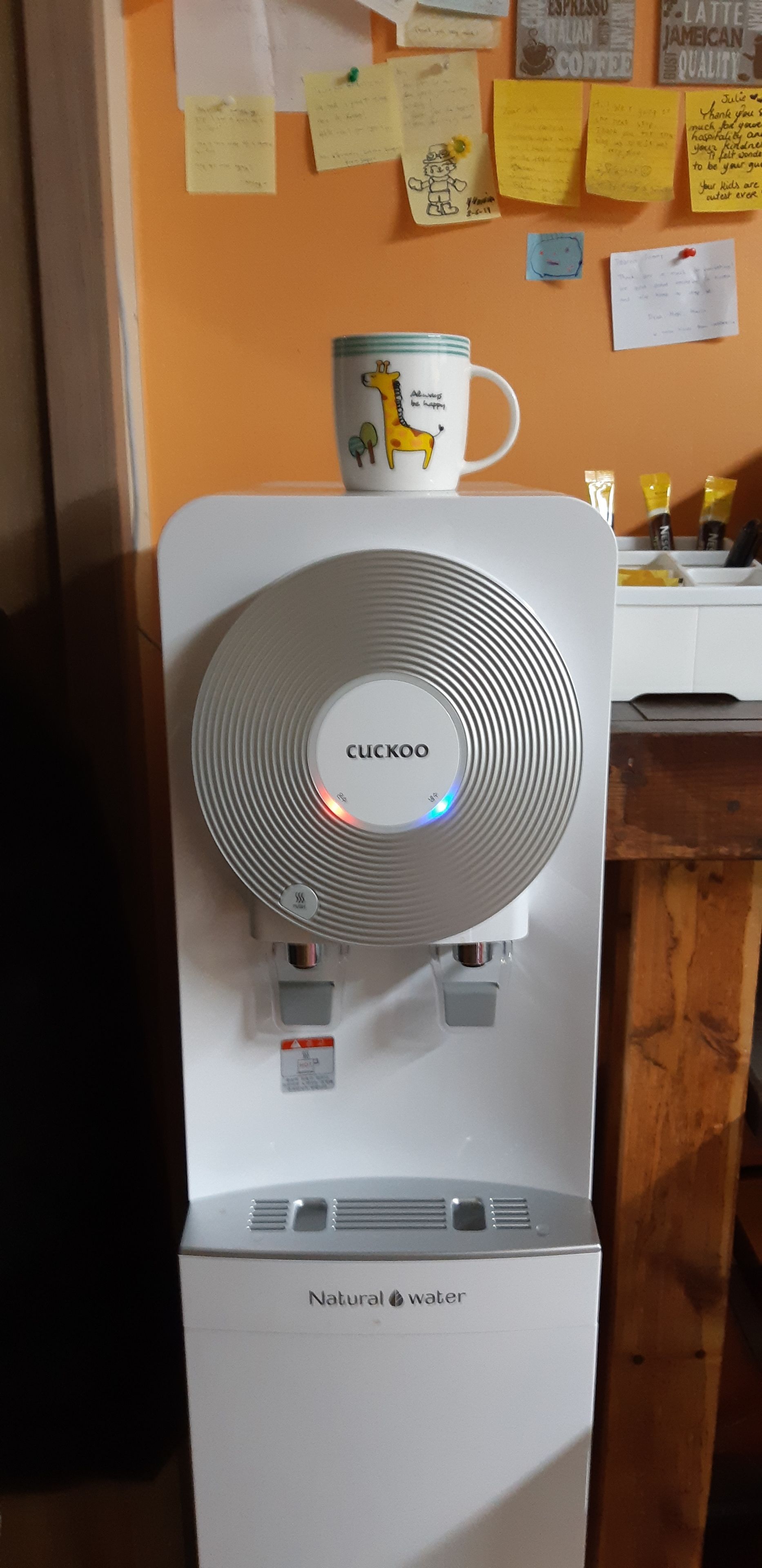 Foto - Birdsnest Hostel Hongdae Foreigner only