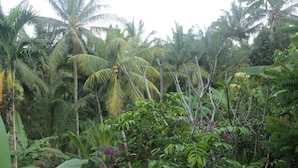 Property grounds - Pondok Sundari (Ubud)