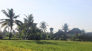Property grounds - Pondok Sundari (Ubud)
