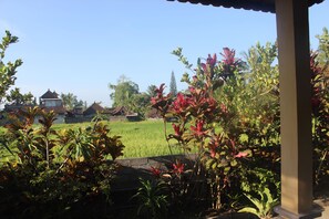 ห้องสแตนดาร์ด | วิวจากห้องพัก