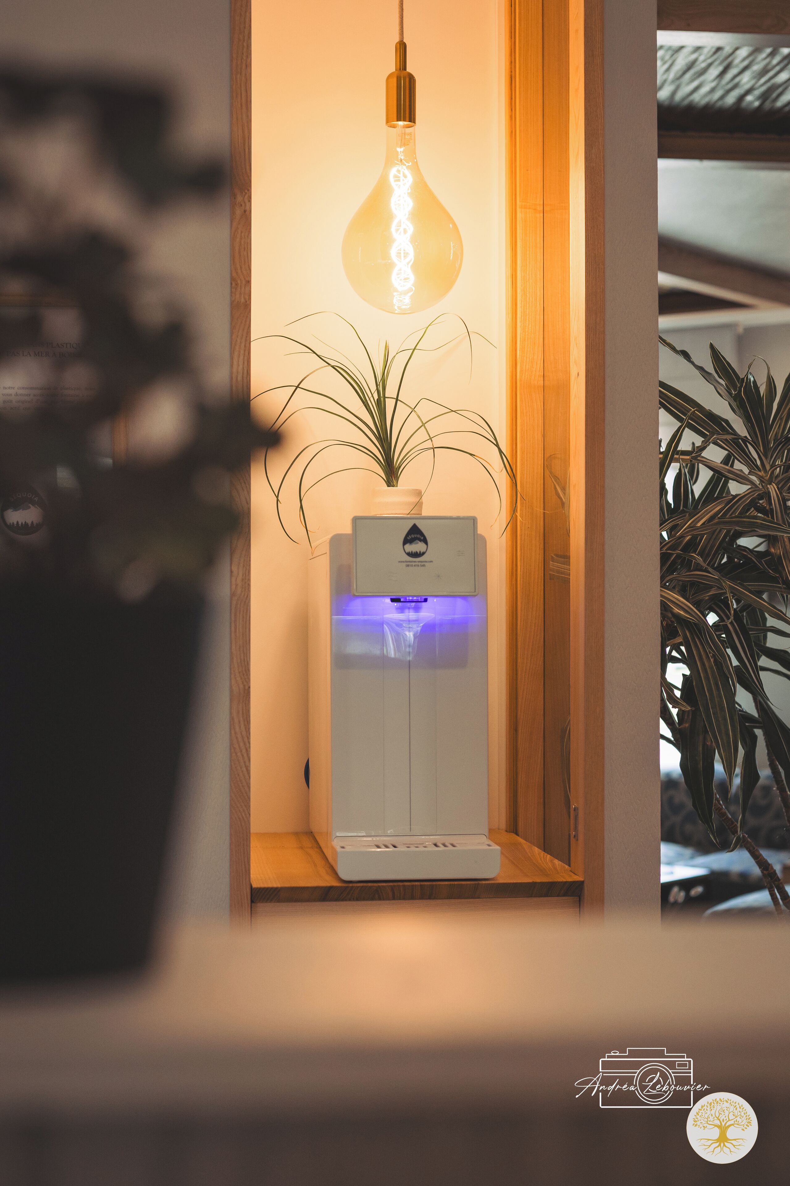 Een waterdispenser met een plant ernaast, een hangende lamp en een houten plank.