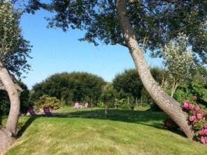 Àrea exterior de l'allotjament