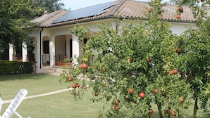 A house with a garden, a white chair, and a tree with fruit. - Relais La Mimosa (Sabaudia)
