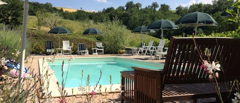 Seasonal outdoor pool, pool umbrellas, pool loungers