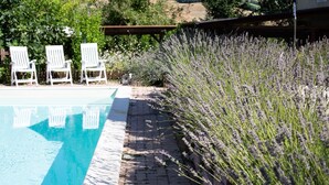 Une piscine bordée de chaises longues blanches et d’une rangée de plants de lavande.