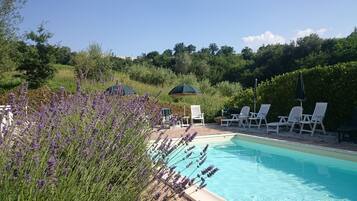 Seasonal outdoor pool, open 10:00 AM to 8:00 PM, pool umbrellas