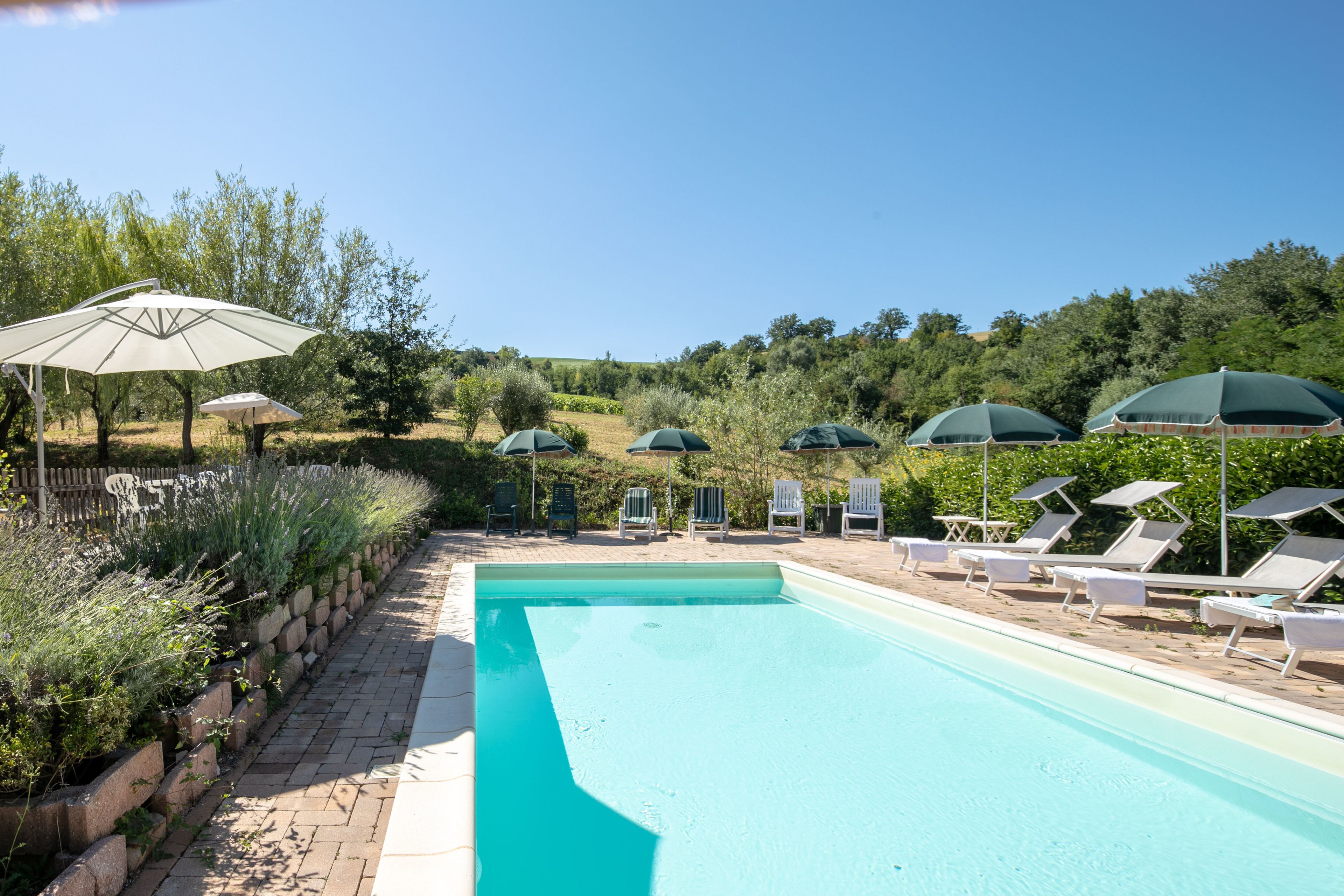 Una piscina al aire libre de temporada (de 10:00 a 20:00), sombrillas