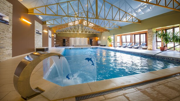 An indoor swimming pool with a glass ceiling, clear water, and dolphin and shell decorations. - Wellness hotel SPARK (Plavecký Štvrtok)