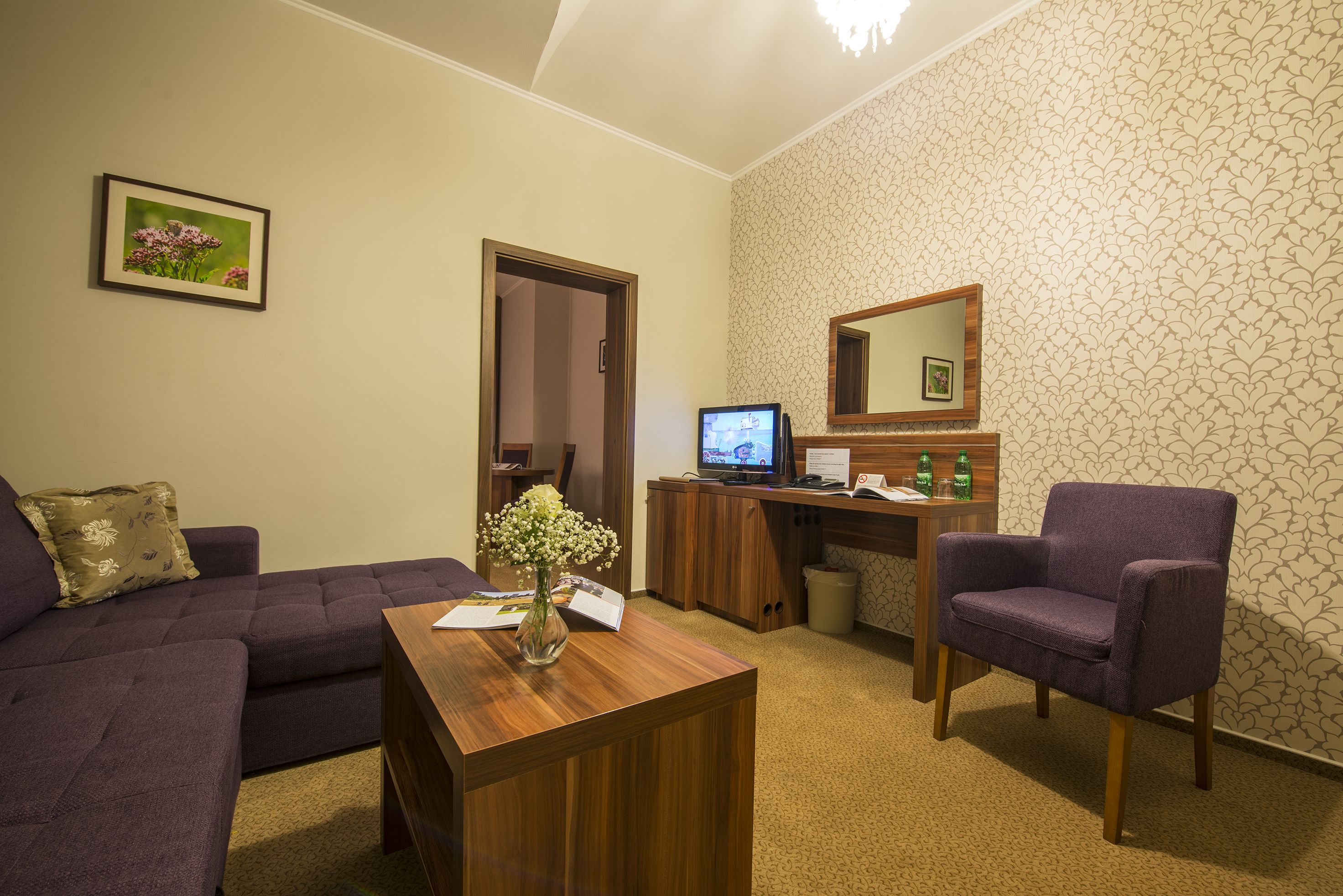 senior suite | living area | flat-screen tv