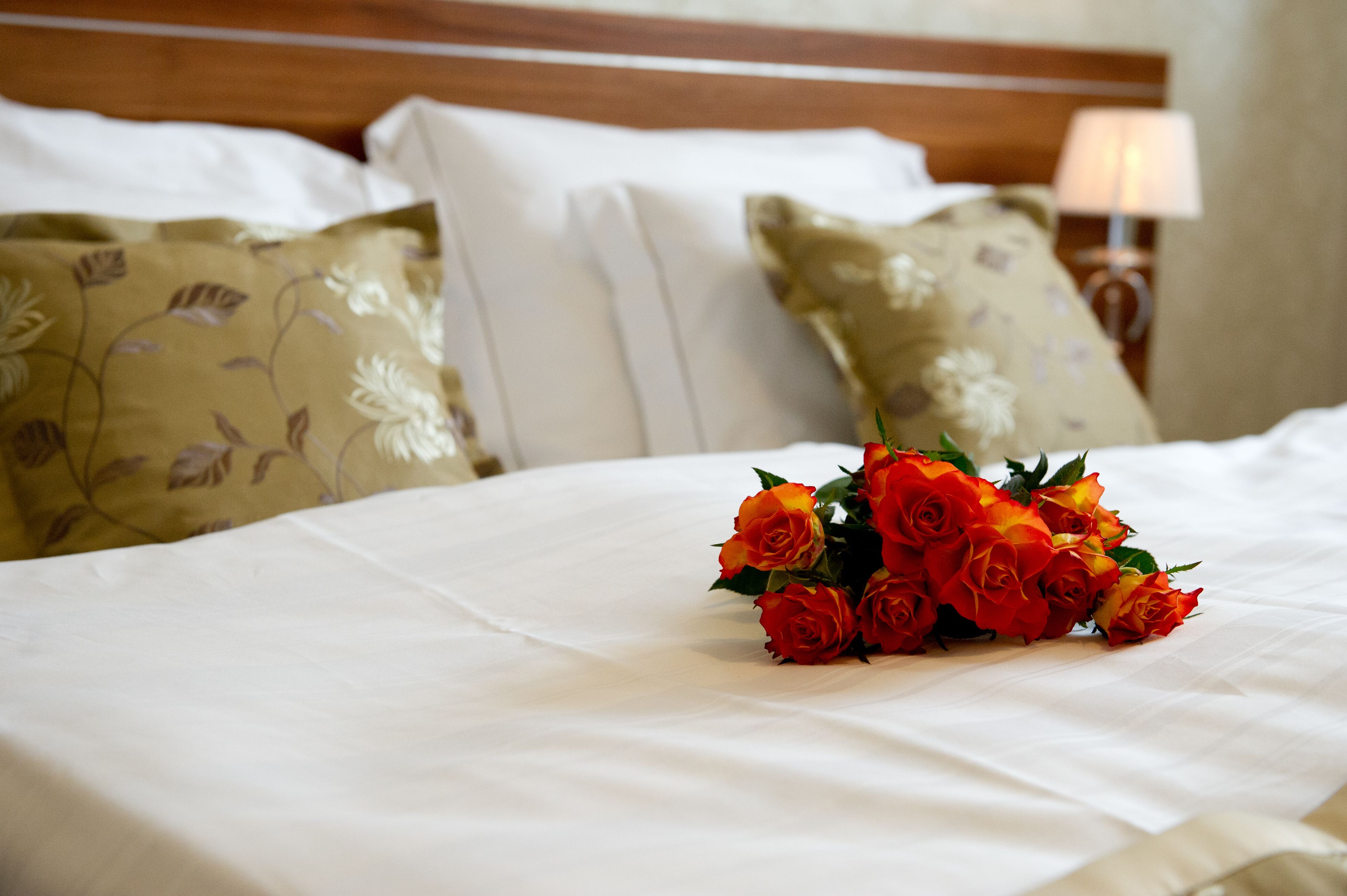 double room | 1 bedroom, hypo-allergenic bedding, minibar, in-room safe