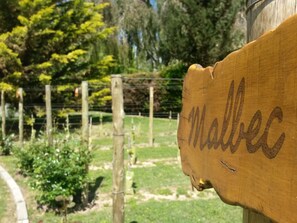 View from property - Pilgrim's Rest (Chacras de Coria)