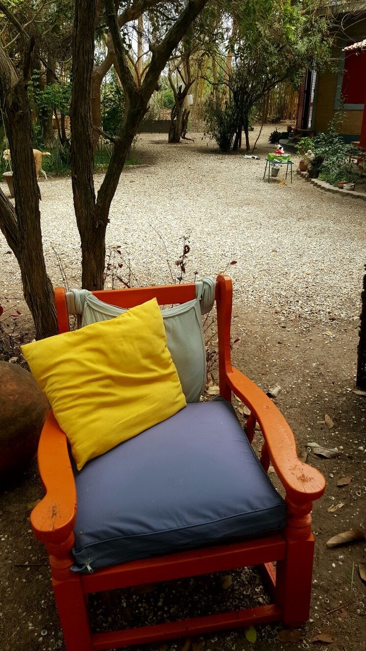 A red outdoor chair with a yellow and blue cushion, surrounded by trees and plants.