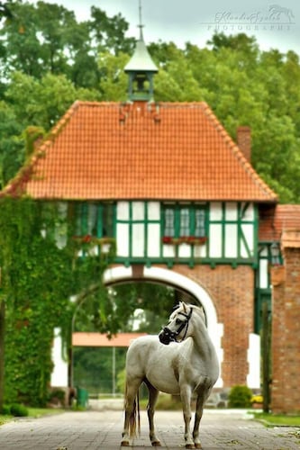 Kadyny Folwark Hotel & Spa