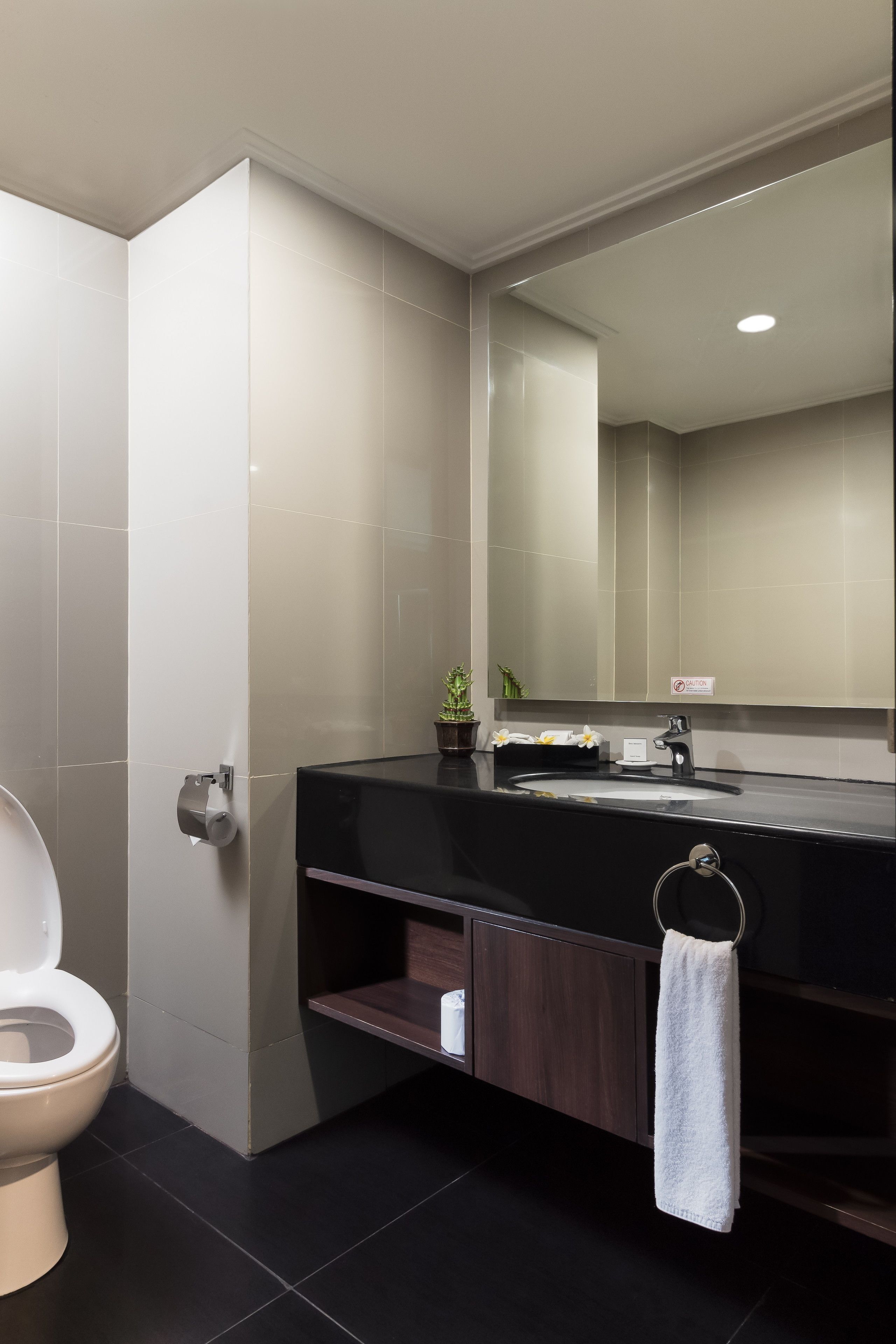 A modern bathroom with a toilet, a sink with a black countertop, a mirror, and a towel rack.