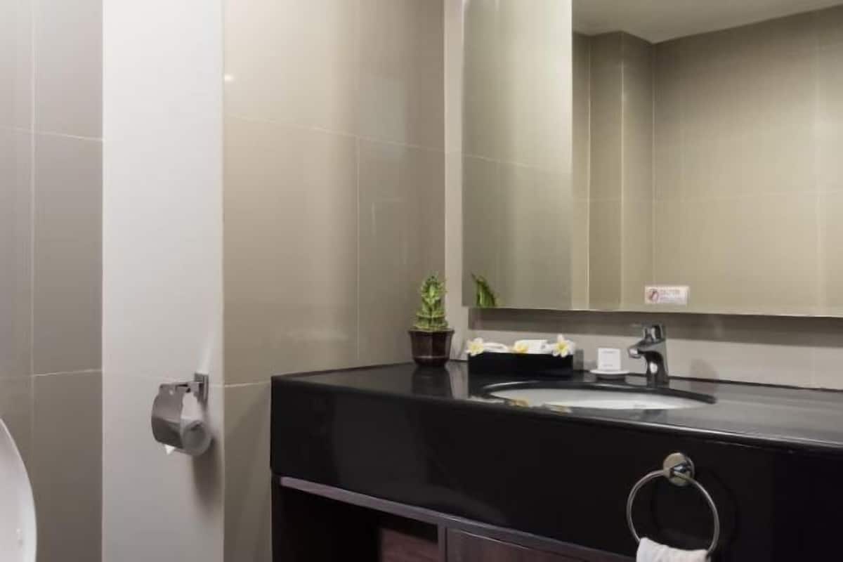 Shower, rainfall showerhead, hair dryer, slippers
