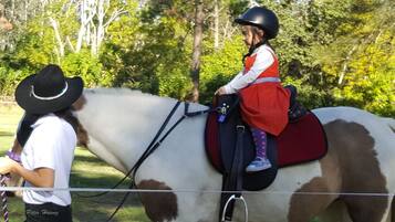 A person riding a horse with a saddle and bridle.