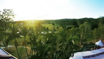 Vista de uma paisagem exuberante com palmeiras e um edifício distante, provavelmente um hotel ou resort.