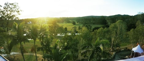 A view of a lush landscape with palm trees and a distant building, likely a hotel or resort.