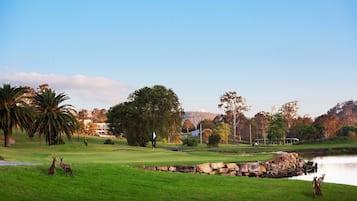Golf