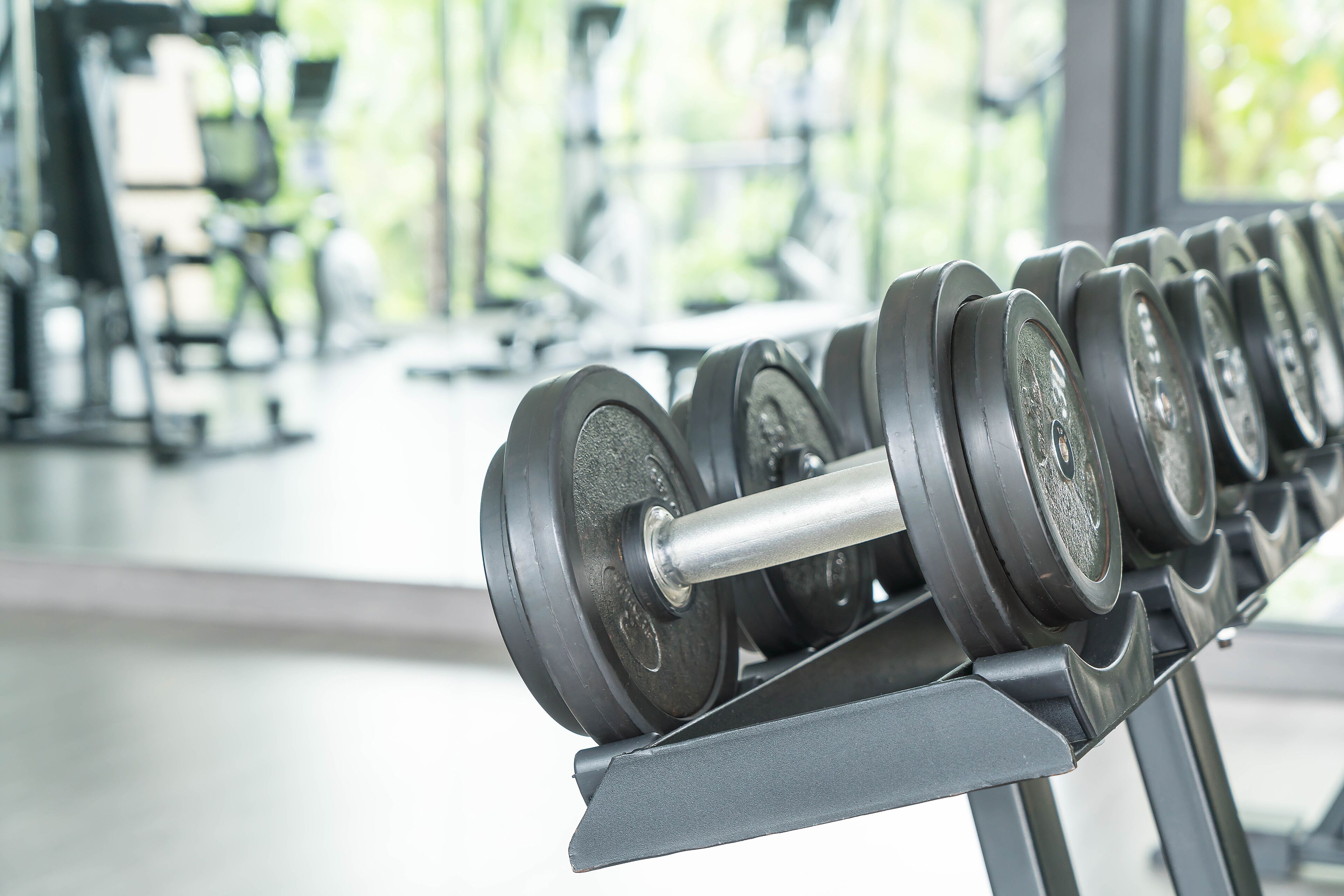 A row of barbells on a rack in a gym with large windows in the background.