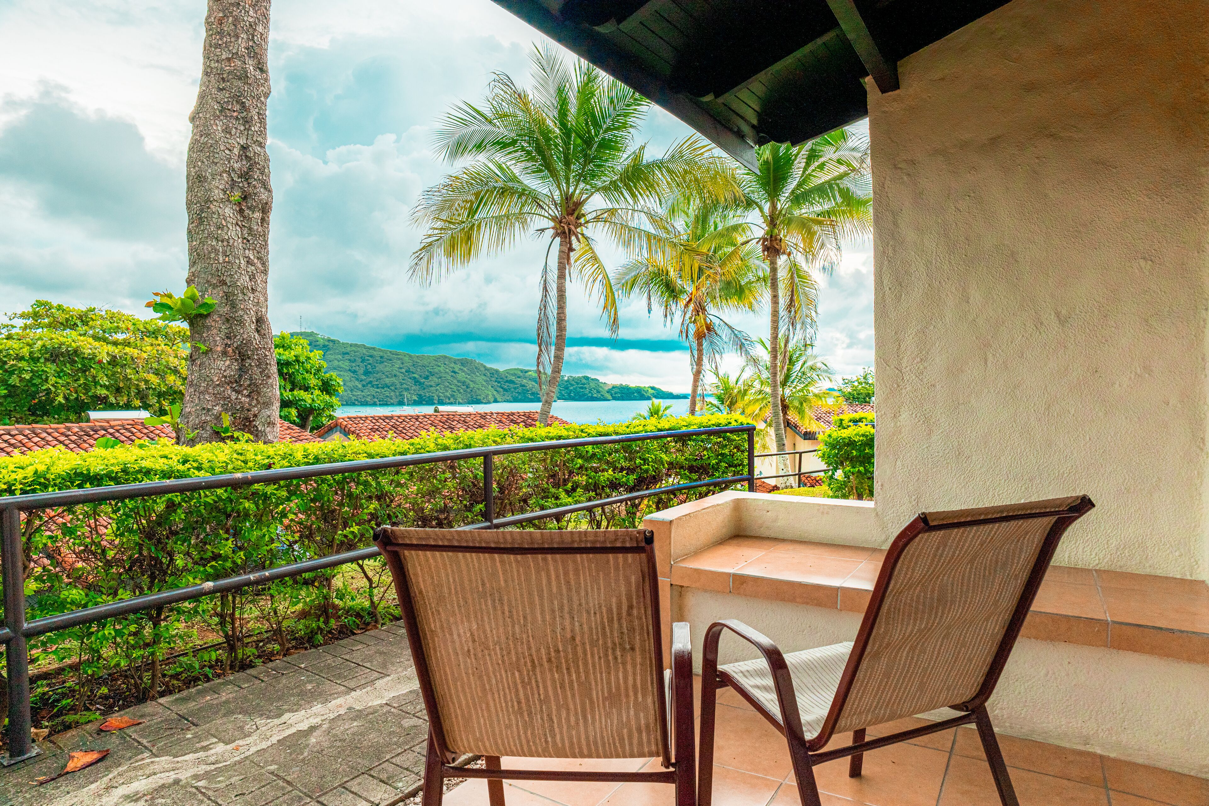 Family Suite | View from room